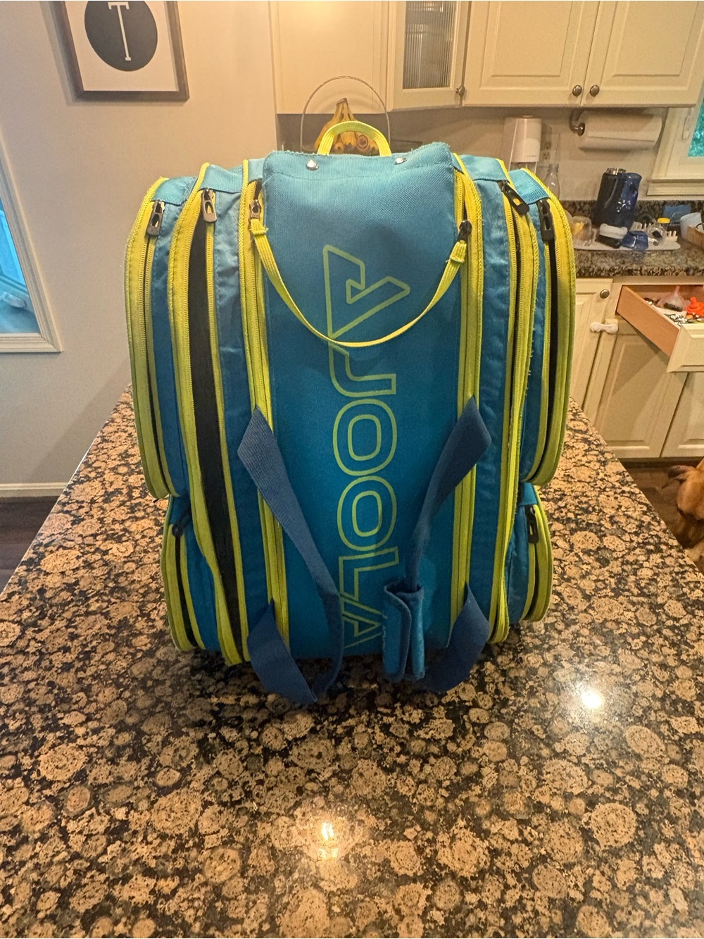 JOOLA Men's Teal Duffel Bag with Lime Accents